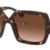 6931f9c33a89a121ed54ad99 PRADA Runway Showpiece - Color-Block Sporty Sunglasses