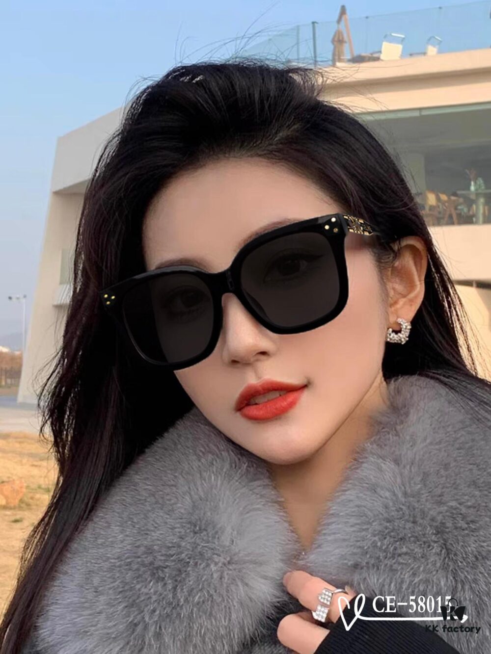 6931fab03a89a121ed54b89f CELINE France - Polarized TR90 Sunglasses with Bolle Resin Lenses, Lightweight and Comfortable, Style 58015