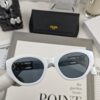 6931fab13a89a121ed54b8ae CELINE France TR90 Lightweight Sunglasses with Polarized Lenses, Model 58035