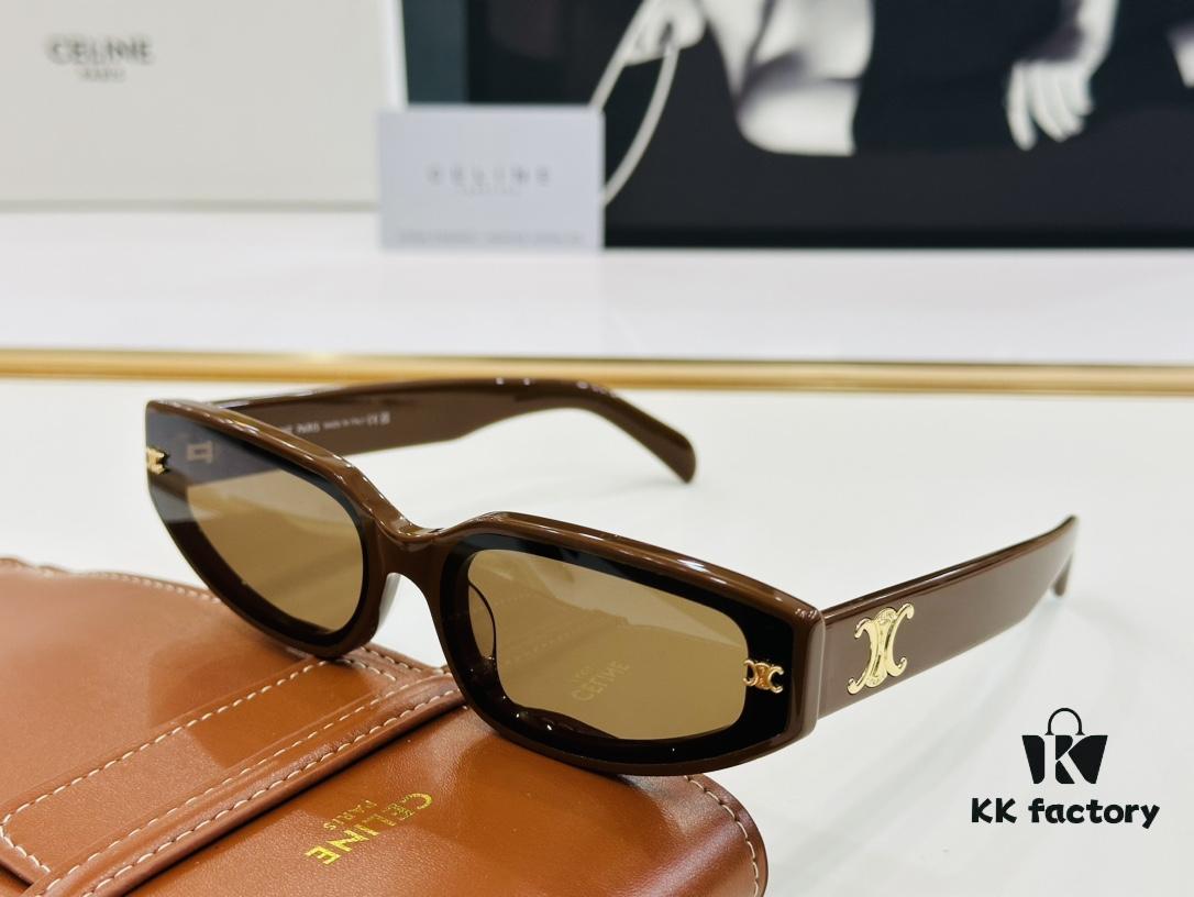 6931fb3d3a89a121ed54bf32 CELINE CE40314 Aviator Sunglasses High-End Version Premium Quality Acetate L-Fashion Sun Glasses Size 64□17-145
