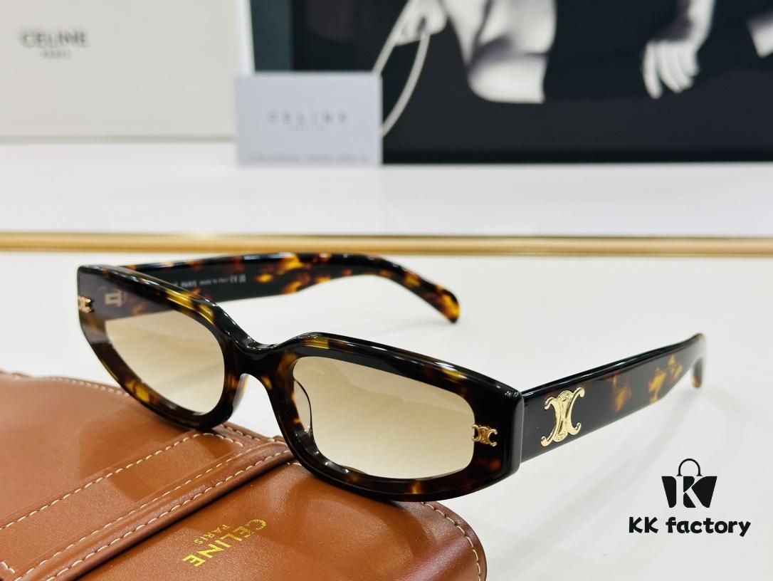 6931fb3d3a89a121ed54bf36 CELINE CE40314 Aviator Sunglasses High-End Version Premium Quality Acetate L-Fashion Sun Glasses Size 64□17-145