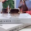 6931fb573a89a121ed54c084 Cartier 2025 New Unisex Cat-Eye Sunglasses for Women, Classic Leopard-Print Temples 🐆, Diamond-Cut Edges, Premium Gradient Lenses, Oversized Frame