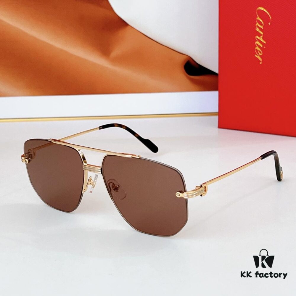 6931fb8c3a89a121ed54c347 155 Cartier CT6011S Sunglasses