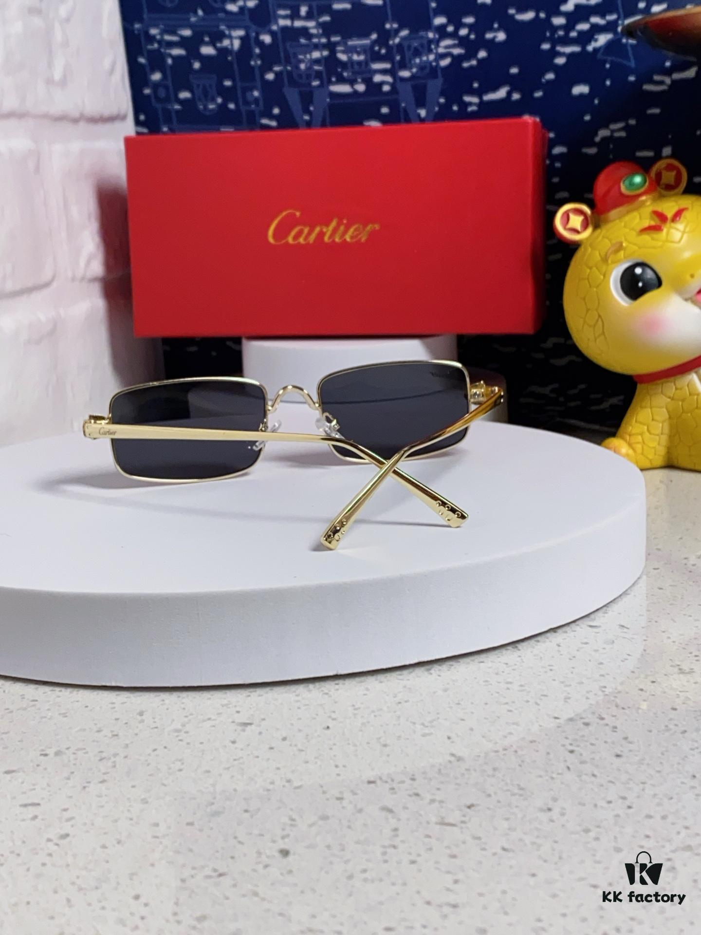 6931fb903a89a121ed54c37d Cartier 2025 Newest Metal Square Sunglasses Unisex, European and American Retro Stylish Small Frame Leopard Design Fashion Sunglasses CT0473S