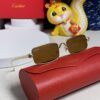 6931fb913a89a121ed54c38c Cartier 2025 Newest Metal Square Sunglasses for Men, European and American Retro Trend Small Frame Leopard Design Unisex Sunglasses, Fashionable Online Celebrity Style Eyewear CT0473S