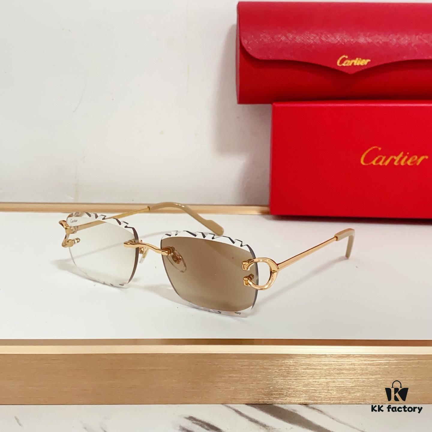 6931fb943a89a121ed54c3b2 Cartier CT0595S Sunglasses - Photochromic Transition Lenses