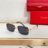 6931fb943a89a121ed54c3b4 Cartier CT0595S Sunglasses - Photochromic Transition Lenses