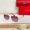 6931fb953a89a121ed54c3b7 Cartier CT0595S Sunglasses - Photochromic Transition Lenses