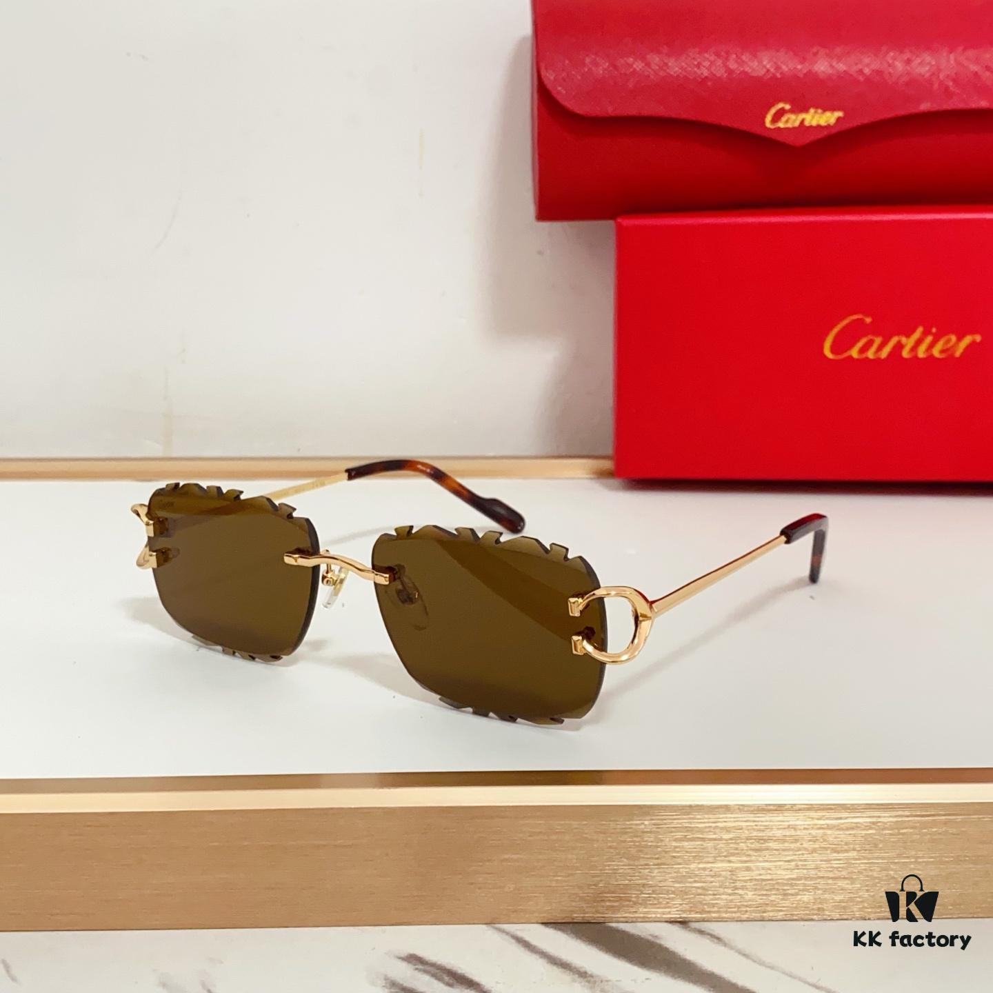 6931fb953a89a121ed54c3b8 Cartier CT0595S Sunglasses - Photochromic Transition Lenses