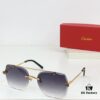 115 Cartier CT0029 Sunglasses