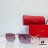 6931fbdb3a89a121ed54c6d3 CARTIER CT0600S 55-18-135 Photochromic Sunglasses