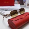 6931fbdd3a89a121ed54c6eb Cartier 2024 New Fashion Frameless Sunglasses, Retro Stylish Leopard Head Decor, Influencer Favorite Square Sunglasses, Unisex UV Protection Shades