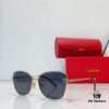 6931fbed3a89a121ed54c7cd CARTIER CT0621S Photochromic Sunglasses