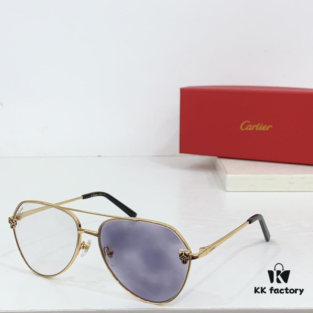 CARTIER CT0622S Photochromic Sunglasses