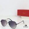 CARTIER CT0622S Photochromic Sunglasses