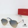 CARTIER CT0622S Photochromic Sunglasses