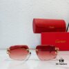 140 CARTIER CT0618 Sunglasses