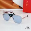 110 Cartier CT0165S Sunglasses