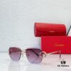 6931fc093a89a121ed54c949 Cartier CT0433S Sunglasses, Size 145, Gradient 140, Photochromic 170