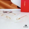 140 Cartier CT0367S Sunglasses
