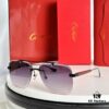 Cartier CT0036S Sunglasses