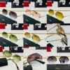 6931fc633a89a121ed54ce0b Cartier CT0355S Sunglasses, Size 64-15-140, Universal Frame Shape, Minimalist and Elegant, Fashionable and Casual, Original Color