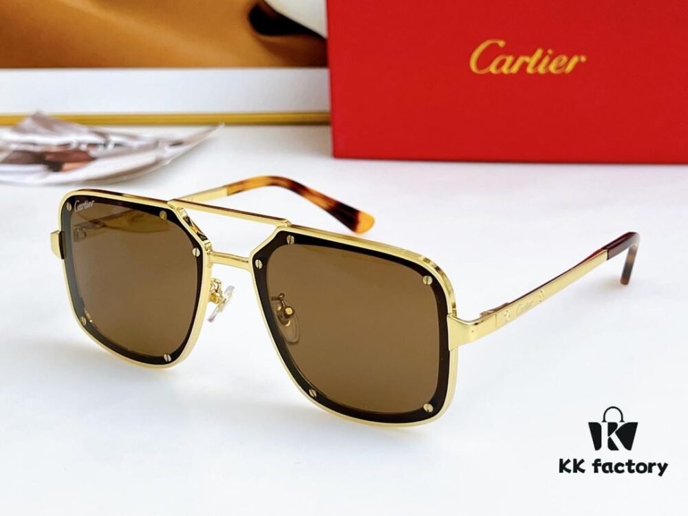 6931fc693a89a121ed54ce66 Cartier CT0194S Sunglasses