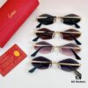 Cartier CT0433S Sunglasses