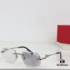 Cartier Photochromic Lenses