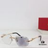 Cartier Photochromic Lenses