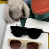6931fd793a89a121ed54dc27 GUCCI 2025 Spring New Unisex Oversized Sunglasses, Model G500