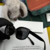 6931fdcc3a89a121ed54e064 GUCCI - Polarized Sunglasses 2025 Spring New Arrival Trendy Fashion Small Frame Polarized Sunglasses High-Quality Comfortable Wear Influencer Style Sunglasses for Women HD Polarized Lens