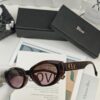 6931fe7e3a89a121ed54e983 DIOR France TR90 Lightweight Sunglasses with Polarized Lenses, Model 55108