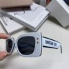 6931fe8c3a89a121ed54ea3a Dior DIORPACIFIC S1U Classic Two-Tone Sunglasses with Golden Star Hardware