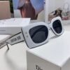 6931fe8c3a89a121ed54ea3c Dior DIORPACIFIC S1U Classic Two-Tone Sunglasses with Golden Star Hardware