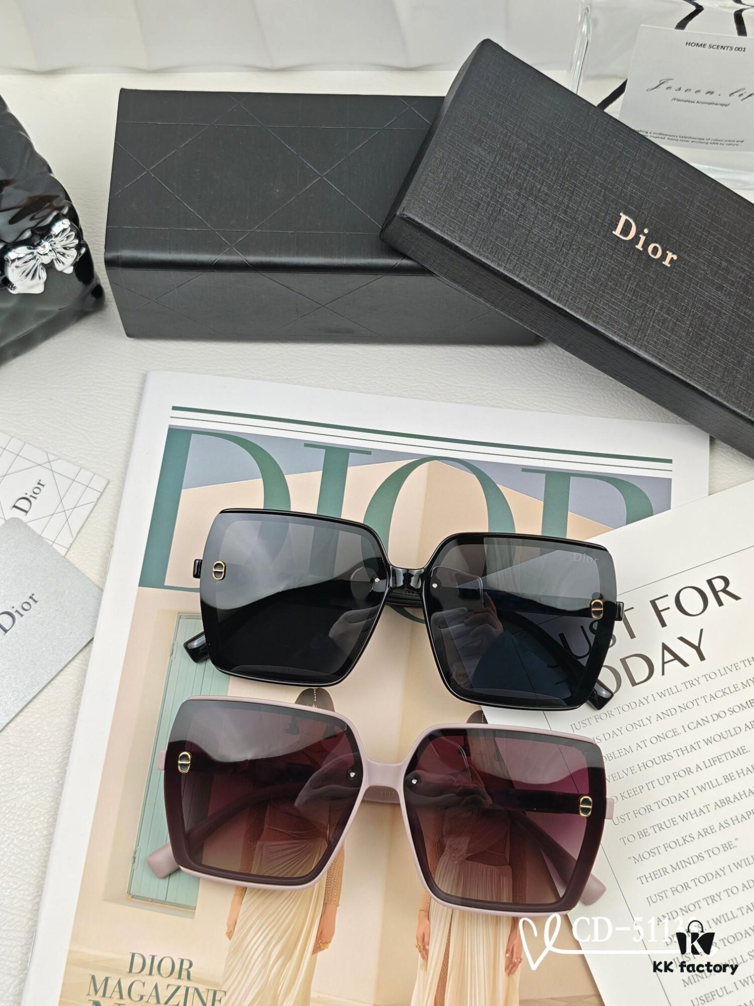 6931feac3a89a121ed54ebd9 DIOR France TR90 Lightweight Sunglasses with Polarized Lenses, Model 51133