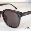DIOR 105 CD 0250S Sunglasses