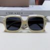 6931ff753a89a121ed54f5fd DIOR Street Snap Retro Stylish and Avant-garde Signature Unisex Square Sunglasses