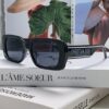 6931ff7b3a89a121ed54f64d Dior 2024 Spring/Summer Sunglasses Wildio S2U Stylish Retro Square Frame UV Protection Fashionable and Comfortable Unisex Sun Glasses