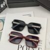 6931ffa83a89a121ed54f886 DIOR France | Polarized Sunglasses with TR90 Frame and Brand-Exclusive Style