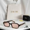 New Arrival DIOR Model: Dior Pacific S3F Sunglasses
