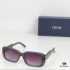 115 DIOR S12F 10A2 Sunglasses
