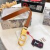 693202523a89a121ed550aba Dior Women's Leather Belt - Premium Original Imported Leather, Stainless Steel Buckle, High-Ion Plating, 2.0 cm Width, Duty-Free Authentic Grade