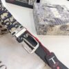 693202723a89a121ed550b25 Dior Unisex Belt - Latest Couple's Style, Imported Embroidered Custom Fabric, Full-Grain Lychee Grain Cowhide Leather, Polished ZP Synchronous Pin Buckle, 3.5cm Width