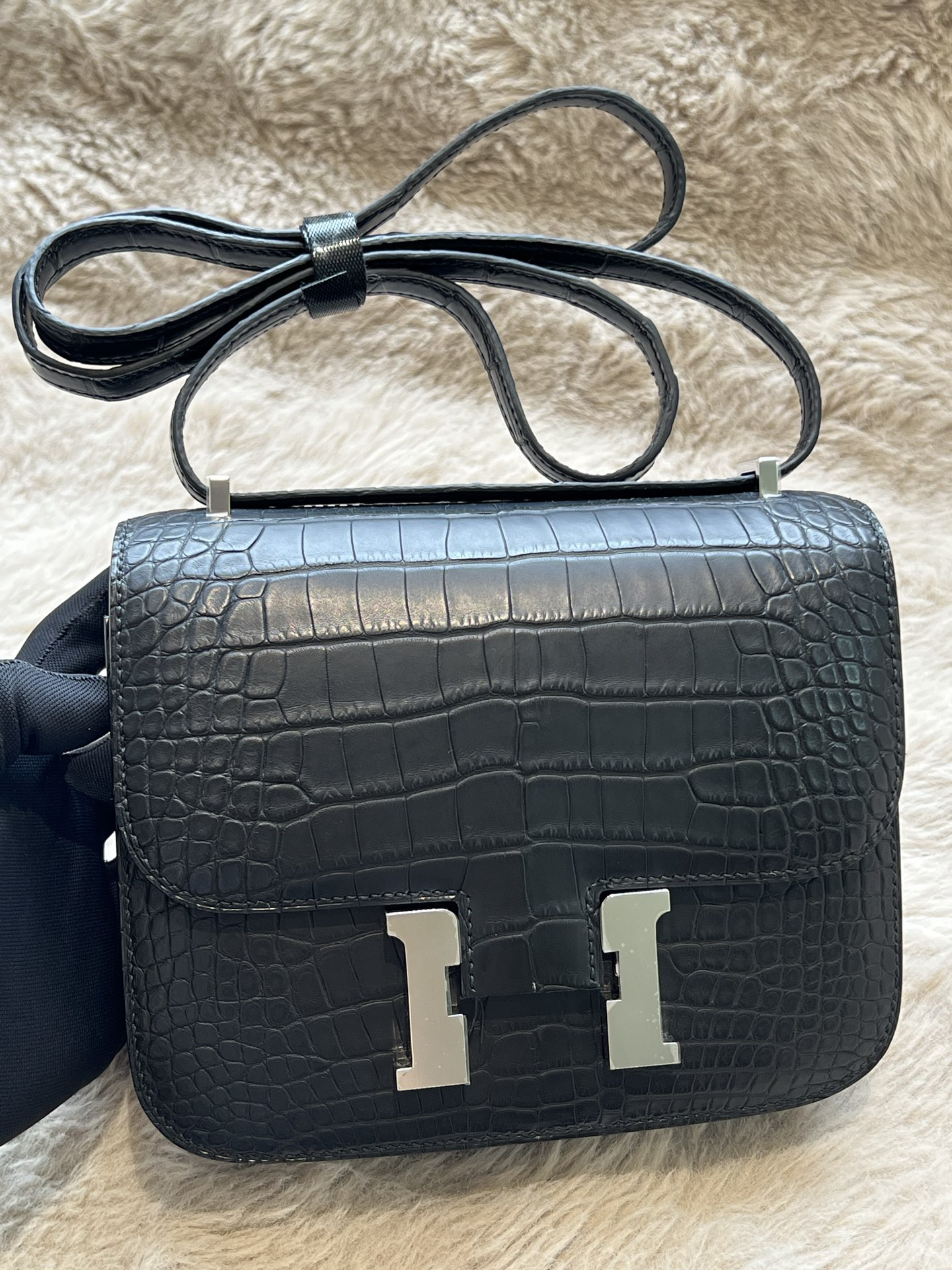 American Alligator  Original HCP  Black Silver Buckle Conscious 19