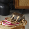 Louis Vuitton The Speedy Bandoulière 20 carries the DNA of a century-old heritage, featuring an iconic, three-dimensional "pillow" silhouette that is both sleek and structured.