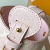 5 Louis Vuitton This All In BB Handbag