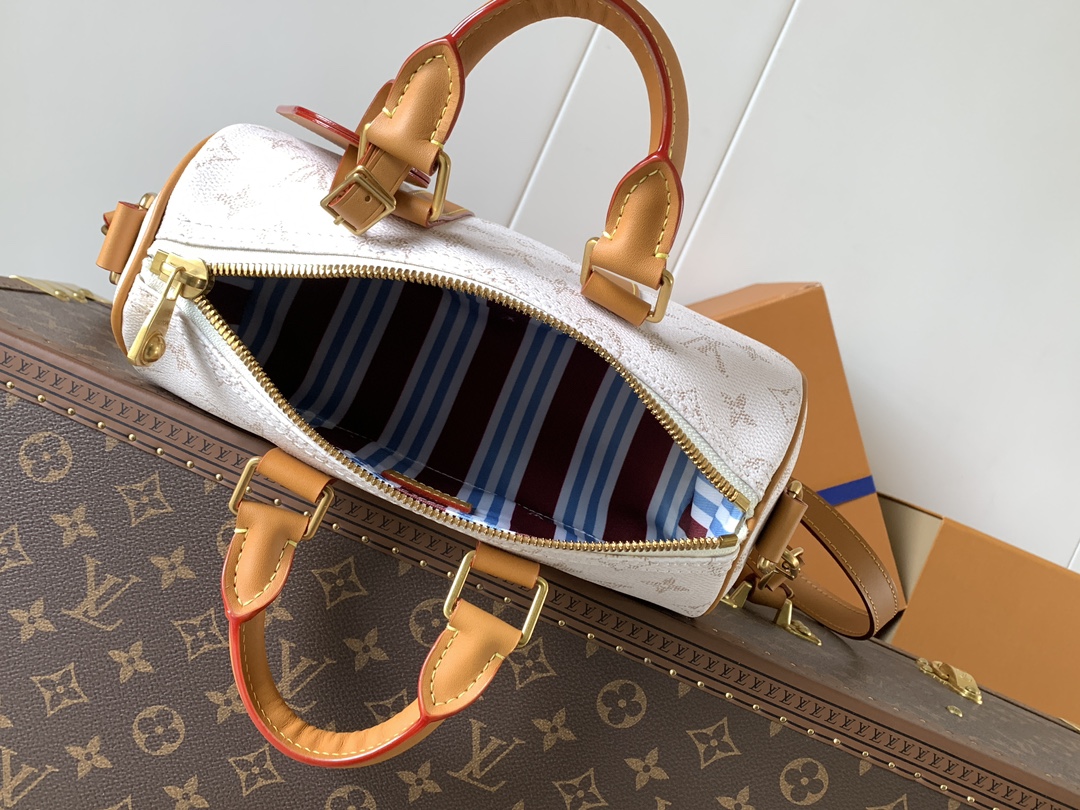 7 Louis Vuitton KEEALL BANDOULIÈRE 25 Handbag