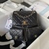 Chane 1❇️❇️ 23P Super Popular Double Backpack