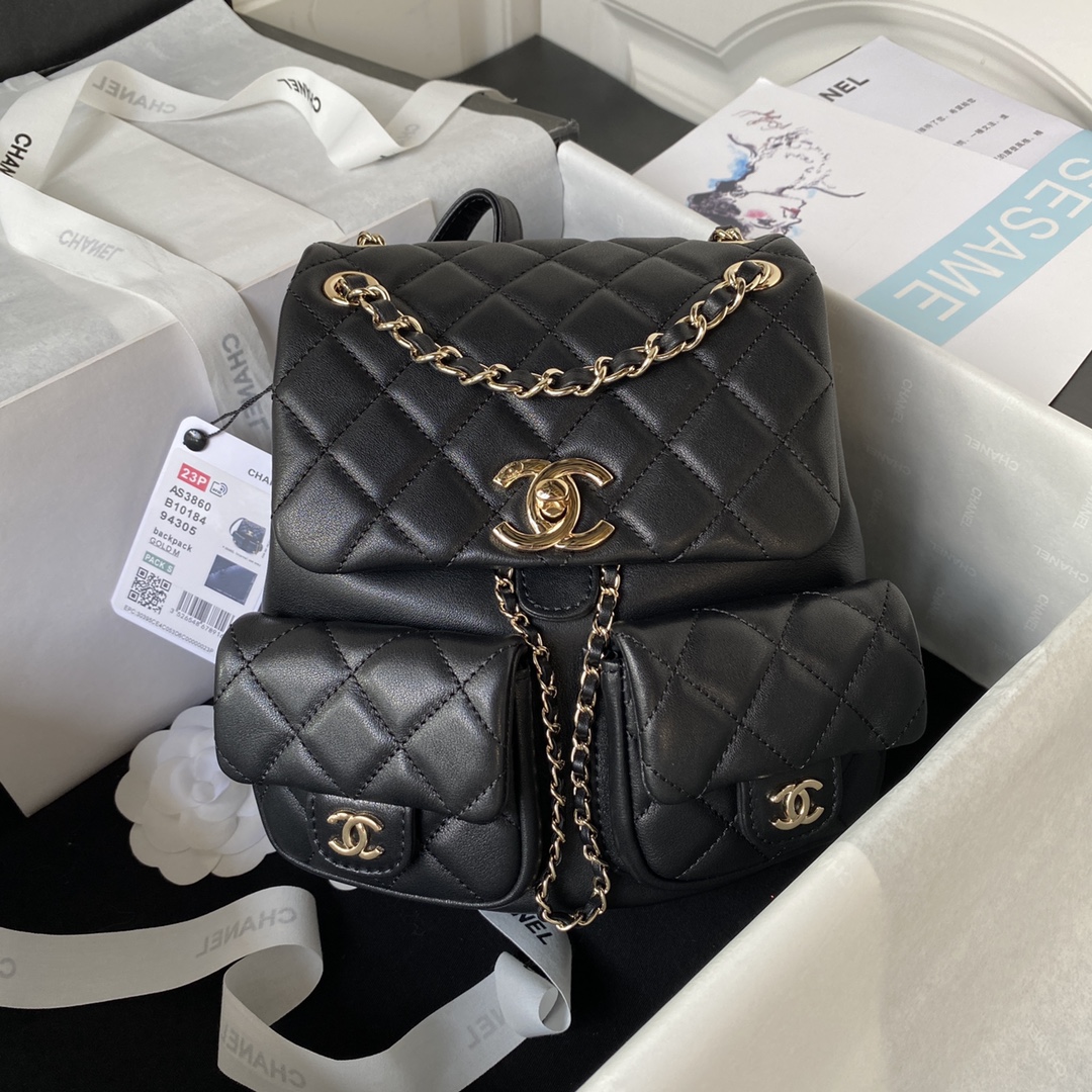 Chane 1❇️❇️ 23P Super Popular Double Backpack